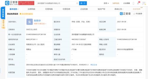 商務信息咨詢 企業決策的智慧引擎與商業成功的導航者